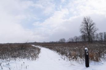 Trail through open field covered in snow in the winter