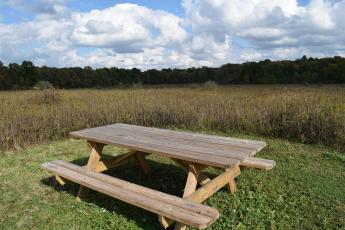 Picnic Table in the middle of a field surrounded by tall grass