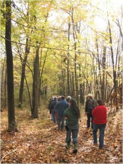People Walking Through Walter Reserve in Fall