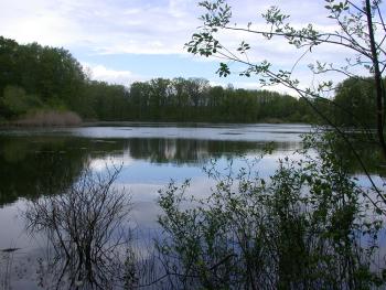 Landscape Shot of Seneca Lake