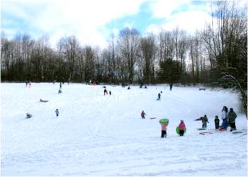 People Sledding down a hill in Towner's Woods
