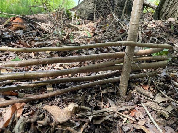 fence woven out of sticks