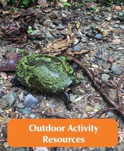 Outdoor Activity resources