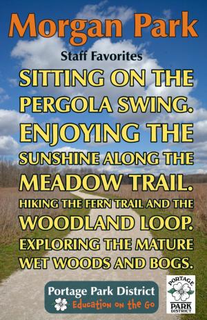 Morgan Park staff favorites, pergola swing, meadow trail, fern trail, woodland loop, mature wet woods and bogs