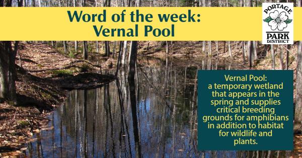 words of the week vernal pool