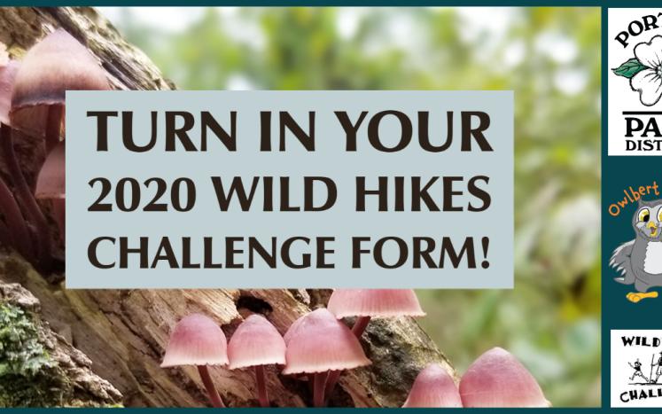 Wild Hikes Challenge form turn in artwork