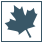 Minimalist Graphic of Maple Leaf