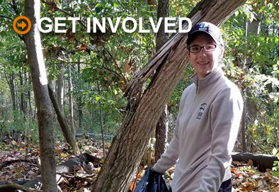 Get Involved