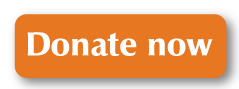 Donate now button