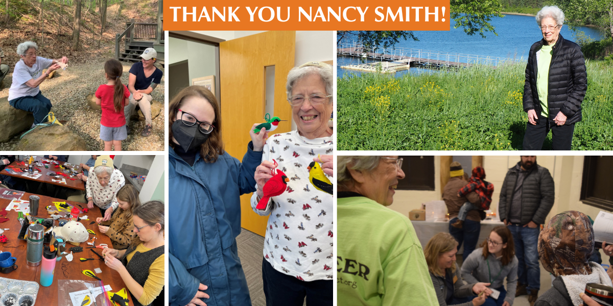 Collage of photos of programs with Nancy Smith