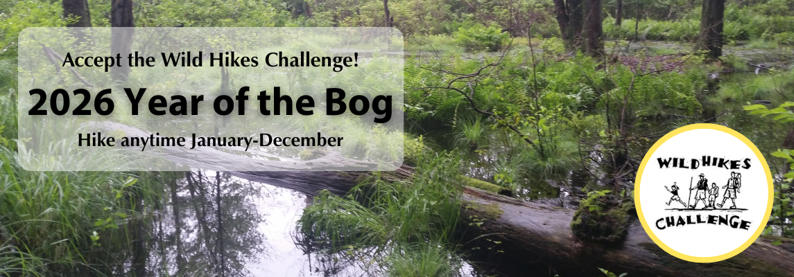 2026 Year of the Bog