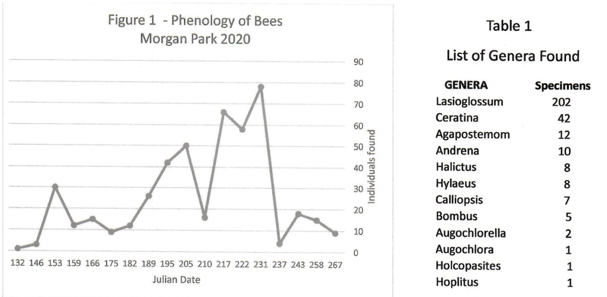 Bee Survey Table 1
