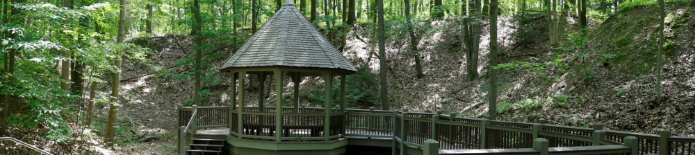 Gazebo in surrounded by green trees in forest