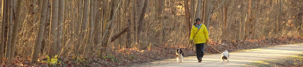 man in hat and coat walking two small dogs on leashes along trail with trees in background