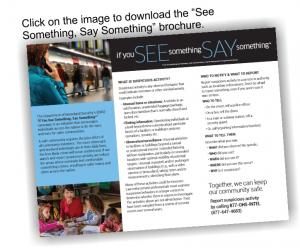 See-Say Trifold Brochure