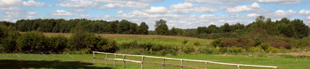 Landscape Shot of Field with a wooden fence going through