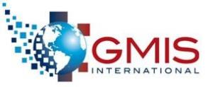 GMIS Logo