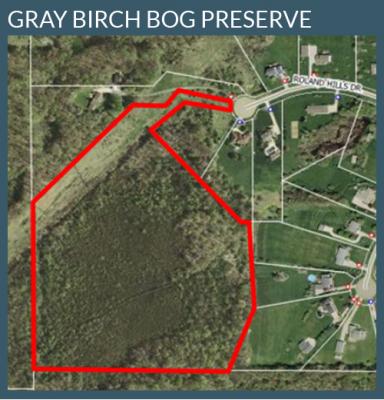 Gray Birch Bog Preserve