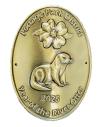 Year of the River Otter