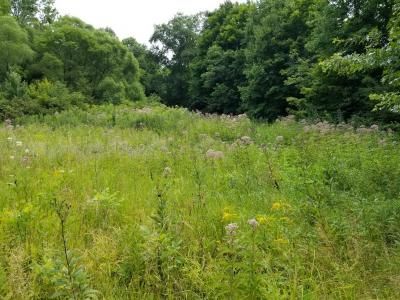 photo of property - meadow and woods