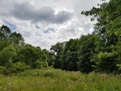 photo of property - meadow and trees