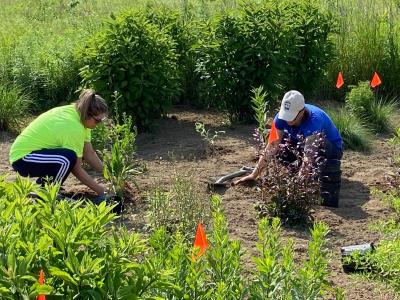 two women work together planting in pollinator garden