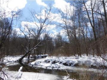 Shaw Woods park