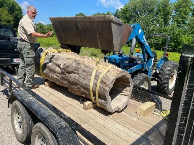 Two men unloading large tree tunnel off truck
