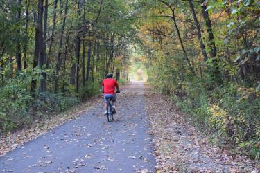 Towner's Woods