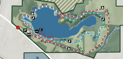 close up of fishing locations along the lake. locations are - 2 east of the fishing dock, and 1 is located near a picnic table along the Osprey trail on the north side of the lake.