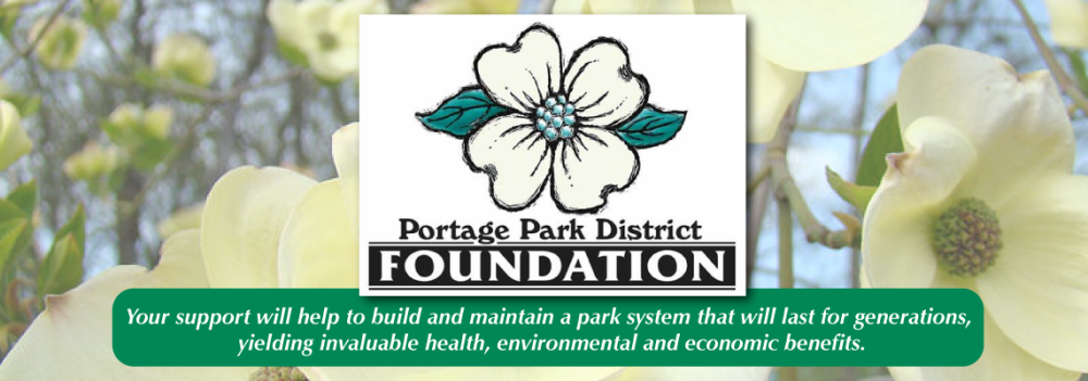 dogwood flower background, portage park district foundation logo