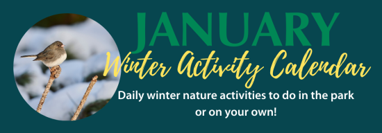 Jan 2024 activity calendar