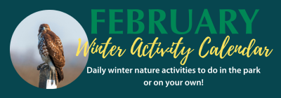 February Winter Activity Challenge