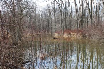 creek fall