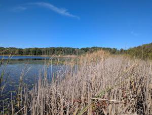 Crystal Lake Water