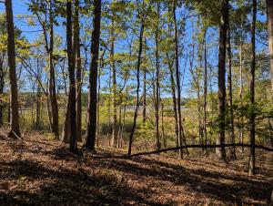 Crystal lake Woods and Water
