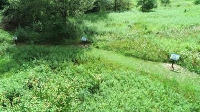 Story Trail Drone