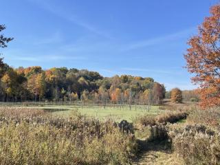 beaver pond fall