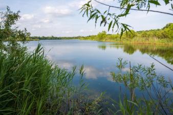 Portage Meadows preserve overlooking lake
