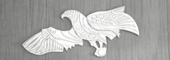 eagle in contrast