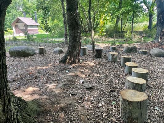 Logs in nature play space.