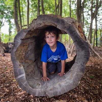 A child crawls through a hollow log.