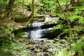 waterfall amid lush greenery