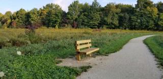 Wooden bench along the limestone paved Meadow Trail at Morgan Park. Blue sky, trees in background, and meadow around bench.