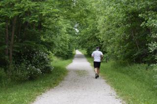 person using hiking path surrounded by greenery
