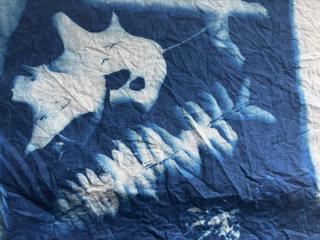 white leaf and fern outline on blue canvas 