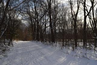 snowy trail at Dix Park