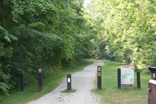 start of trail leading into tree covered path 