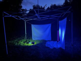 Sheets with spot light set up to attract moths