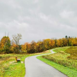a paved trail winds through green meadow with fall trees in the background